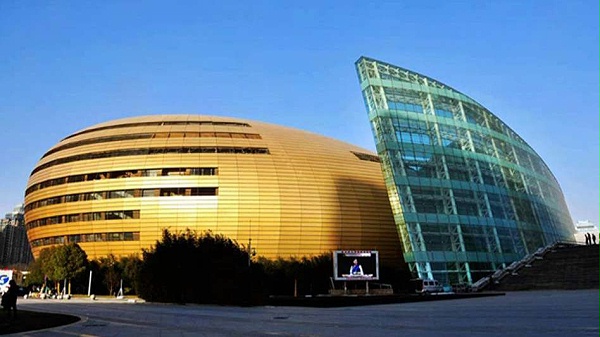 河南艺术中心项目应用案例